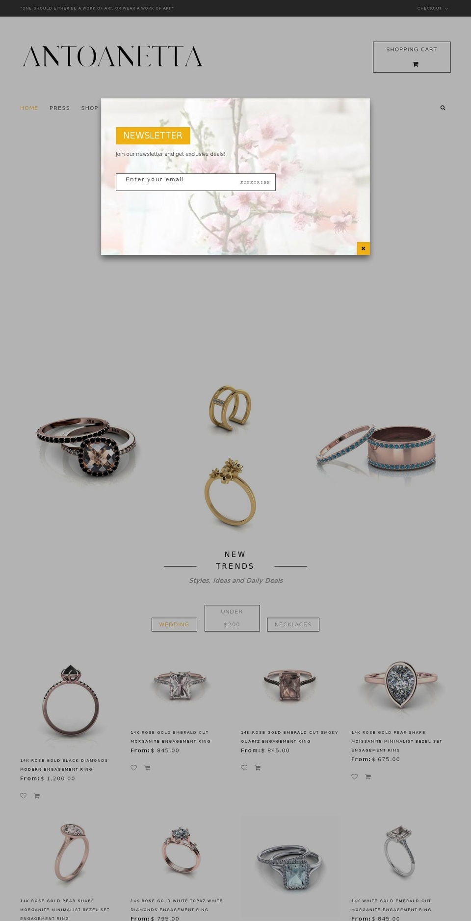 antoanetta.com shopify website screenshot