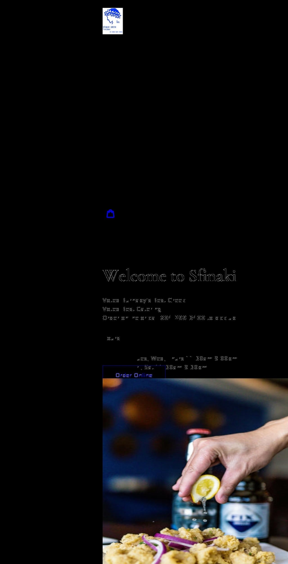 sfinaki.ca shopify website screenshot